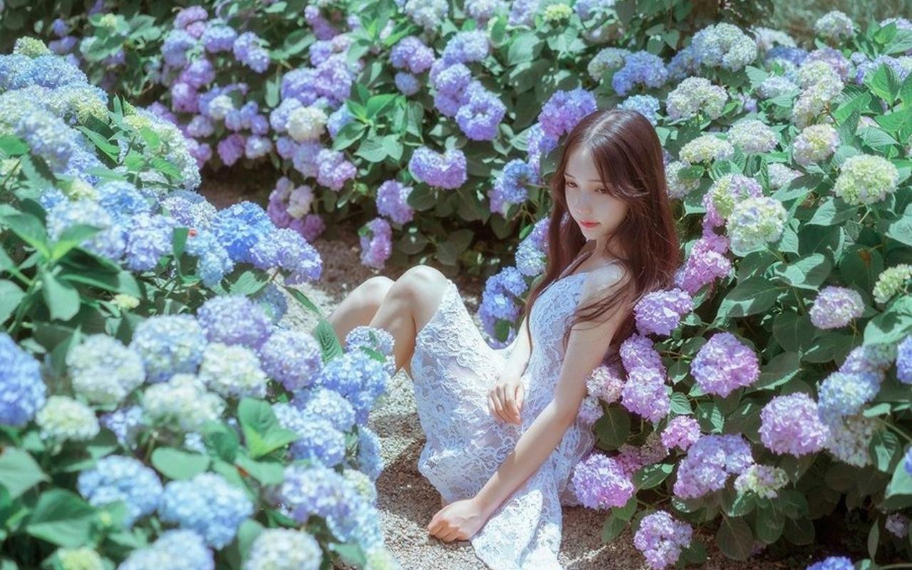 贵州：法治新“枫” 赋能基层治理